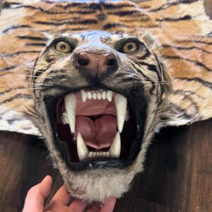 Vintage Tiger Rug