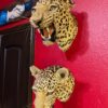 Van Ingen Leopard Shoulder Mounts