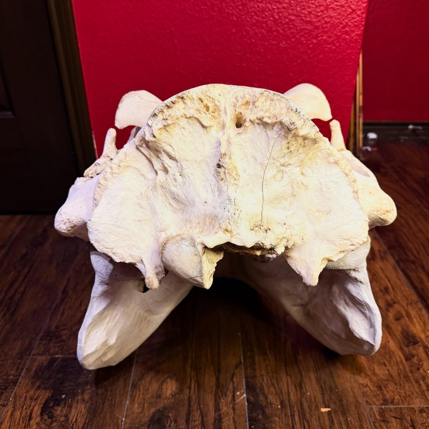 496769502_18499668595035399_7233200777491499270_n