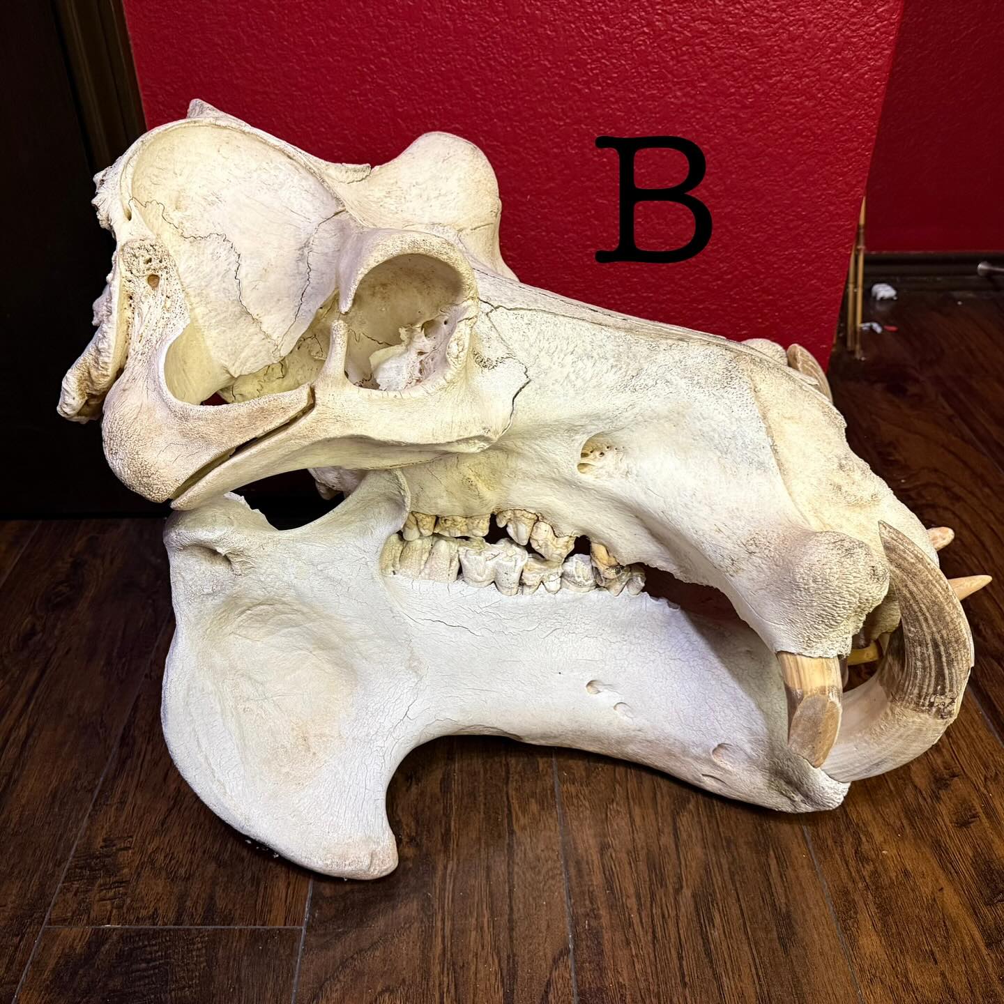 496868201_18499668562035399_5354104743519029254_n