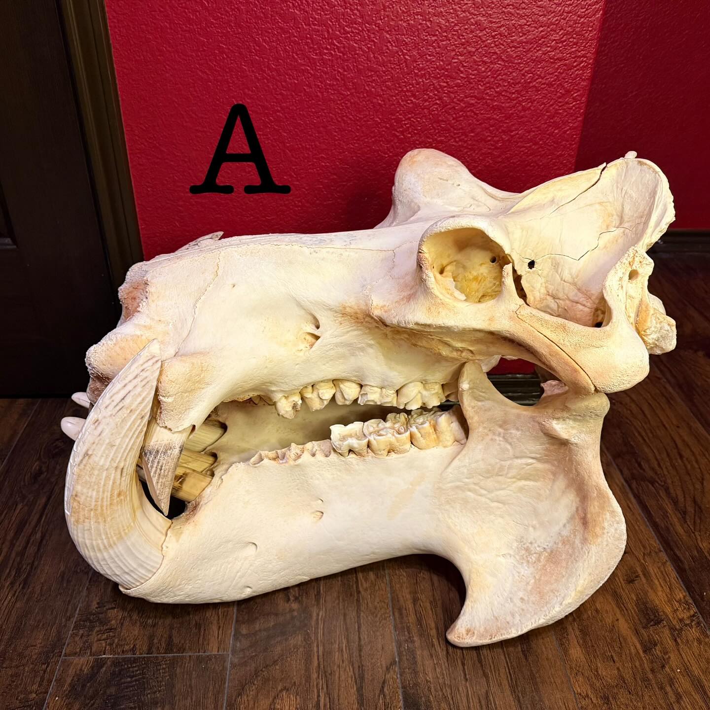 496965733_18499668478035399_7828857872021515117_n