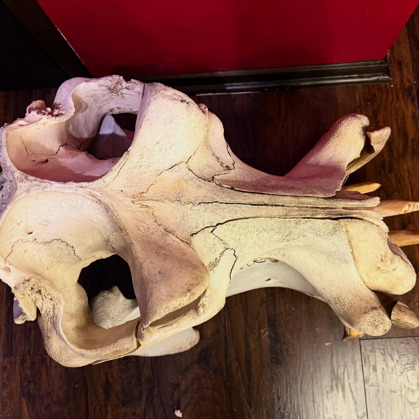 497032330_18499668610035399_4788594113323204555_n