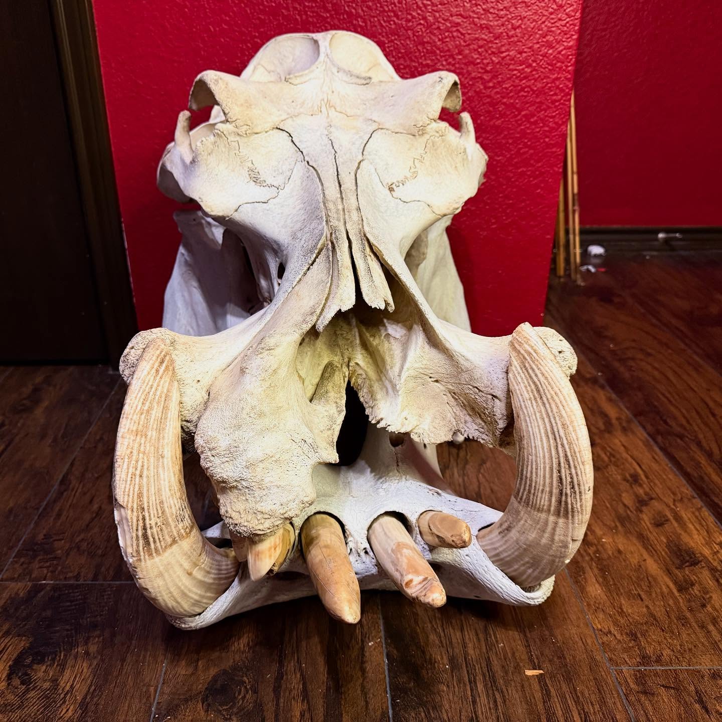 497157879_18499668571035399_6815053008449580324_n