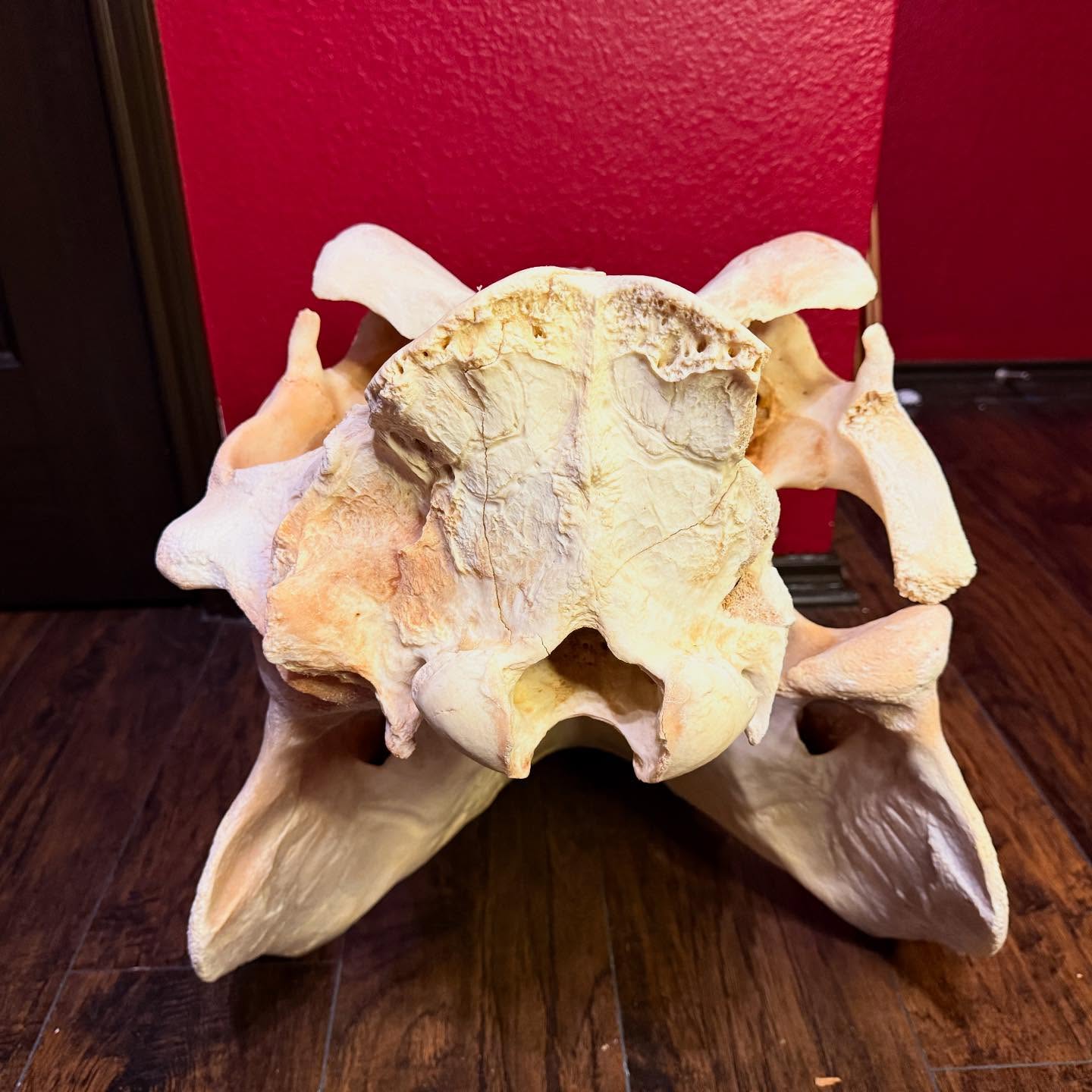 497237192_18499668544035399_6204840354935796781_n