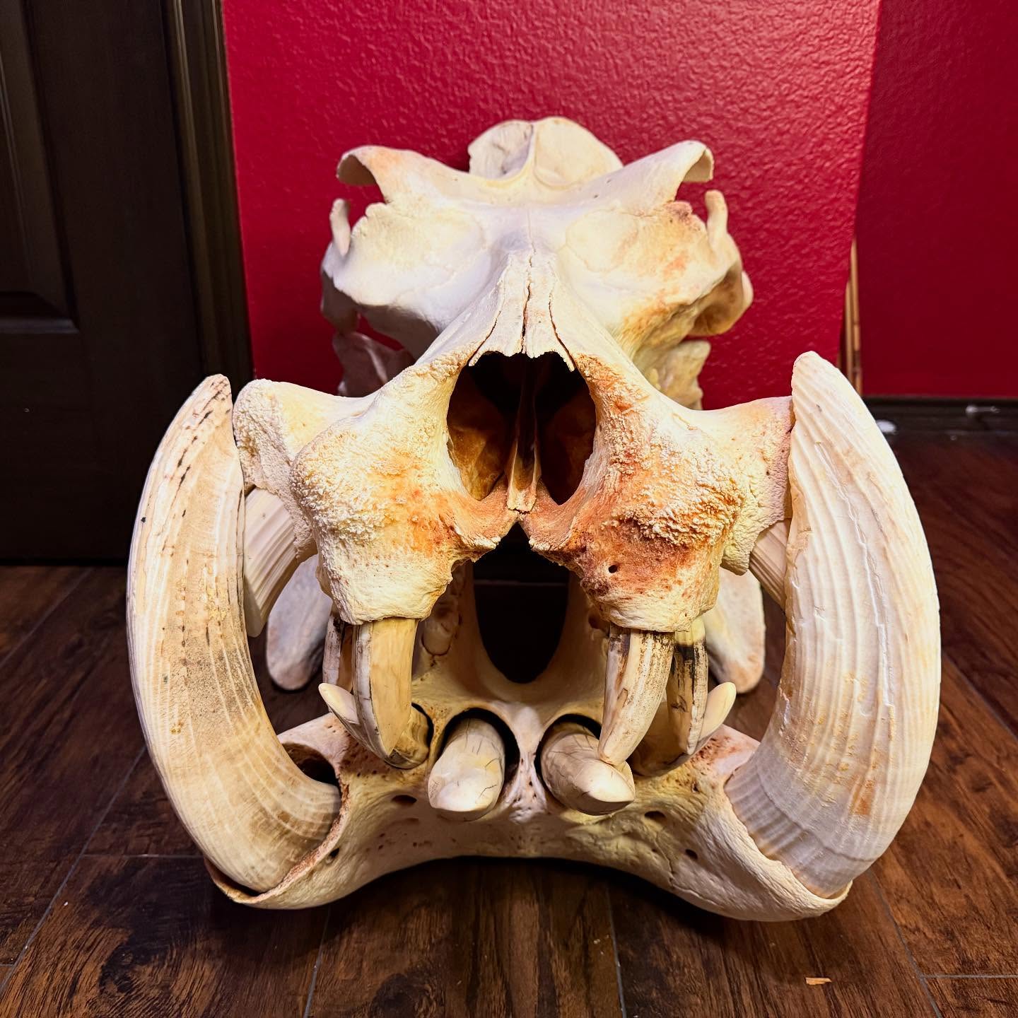 497312608_18499668517035399_6281800690956743468_n