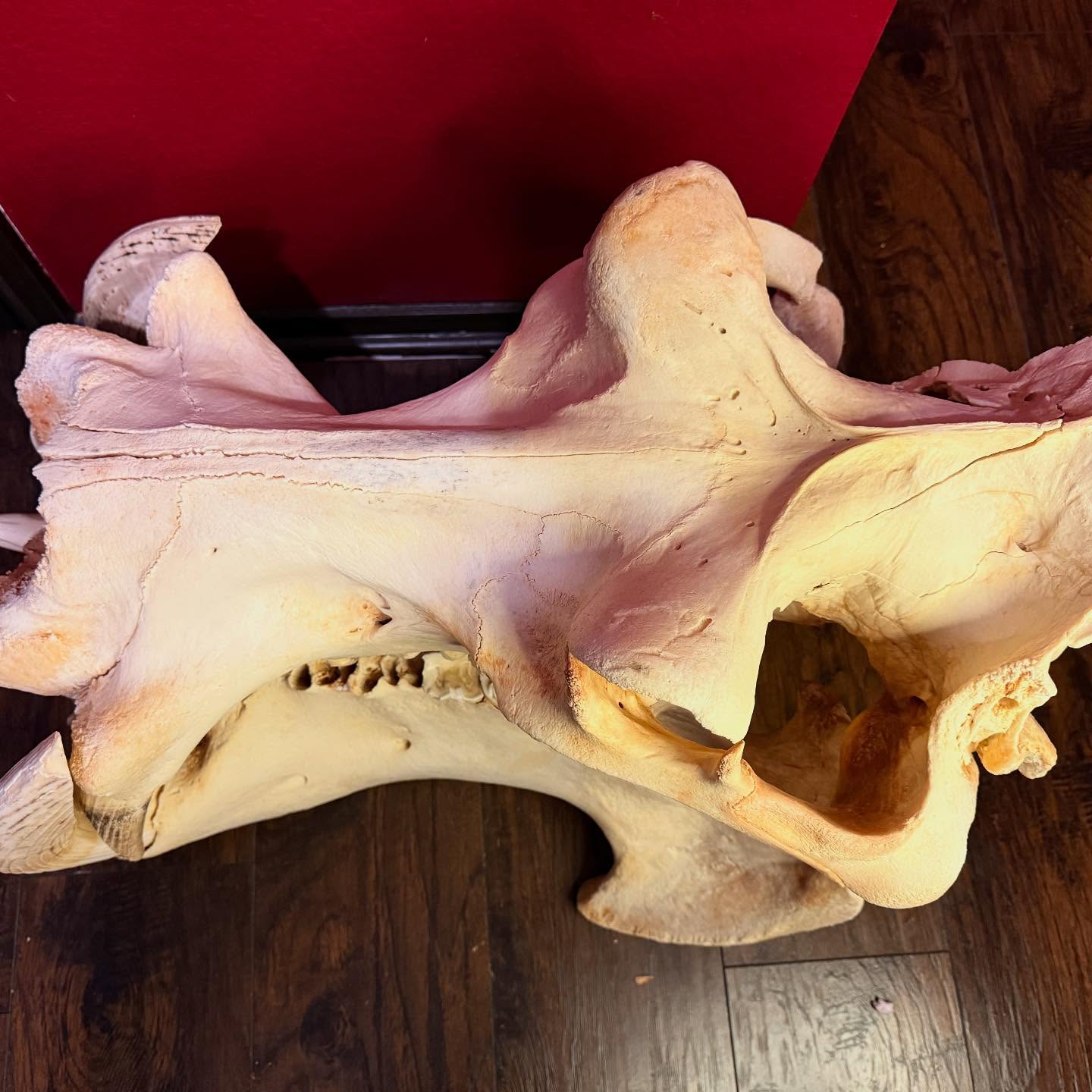 497319920_18499668553035399_1945183707687710360_n