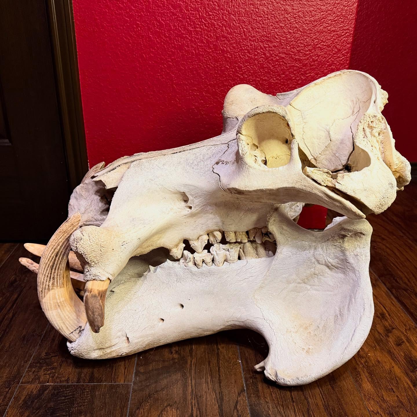 497319922_18499668583035399_6056584663535960164_n