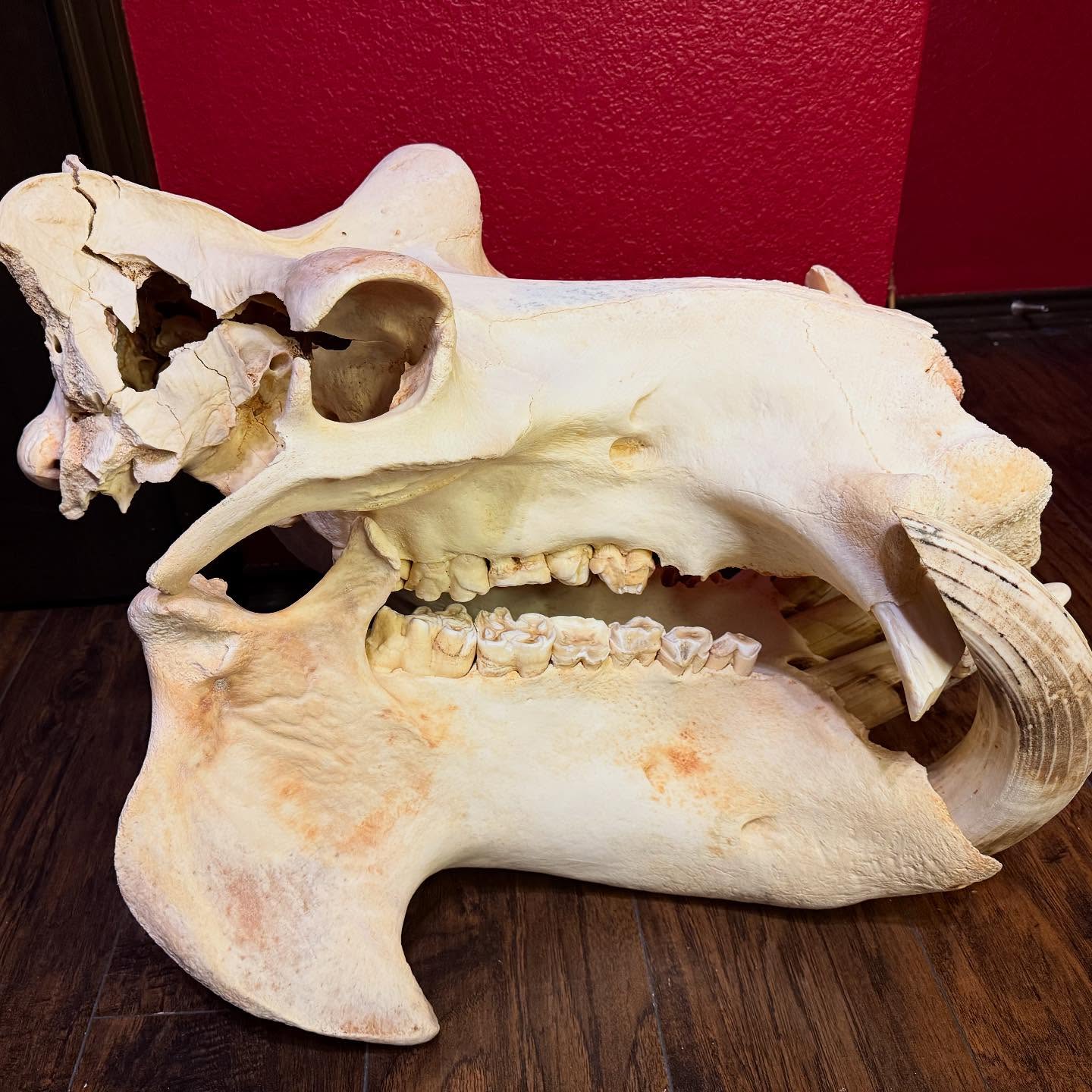 497337522_18499668529035399_3427895528244546690_n