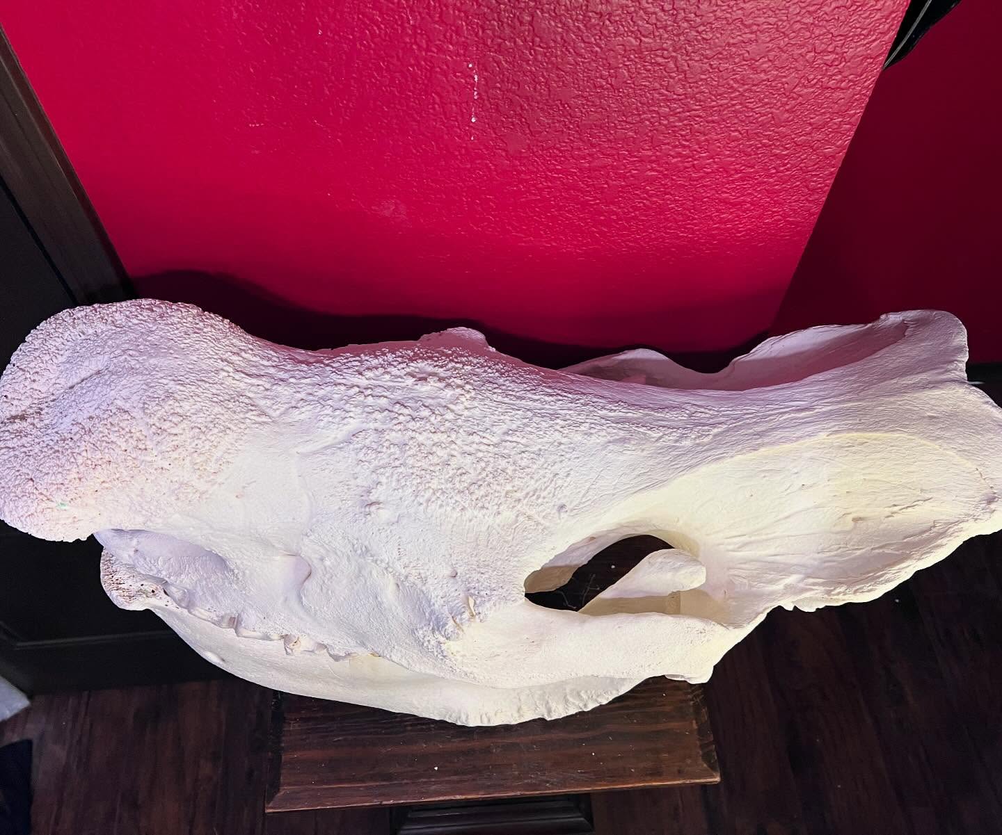 467123740_18466323832035399_5442924504079093635_n