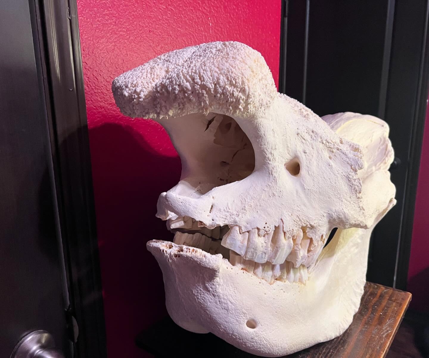 467223168_18466323805035399_8893639138612159145_n