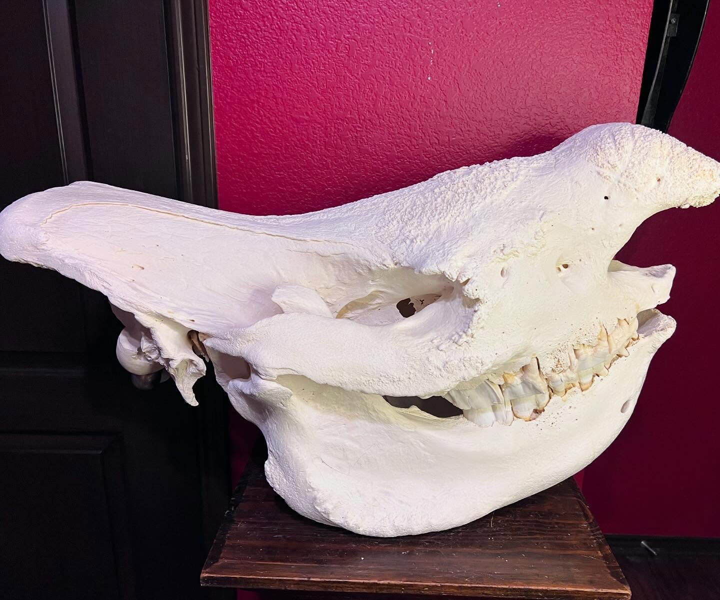 467309490_18466323814035399_1797024184443538870_n