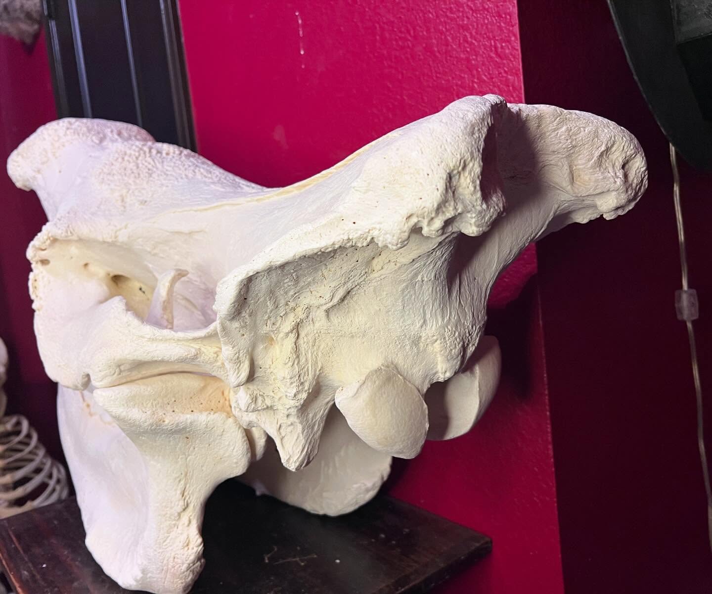 467413980_18466323823035399_3660026218930092674_n