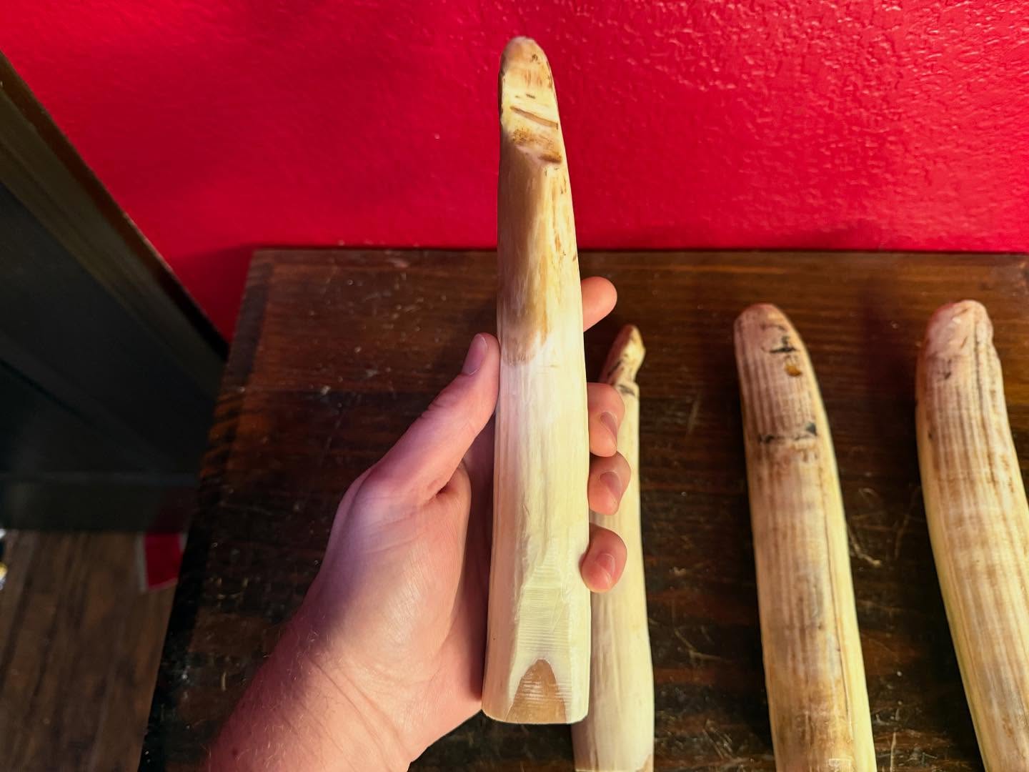 487685005_18493132078035399_8843458796279545581_n