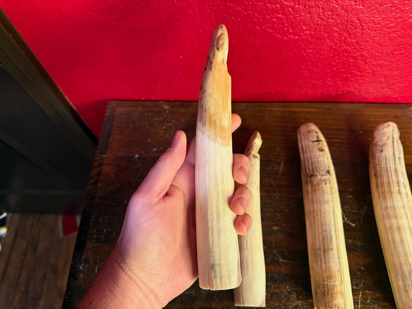 488015914_18493132087035399_837840269482280279_n