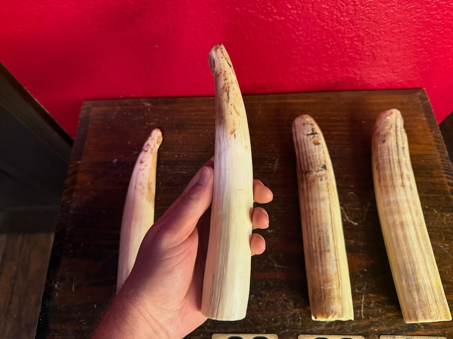 488096587_18493132117035399_3345876531971860729_n