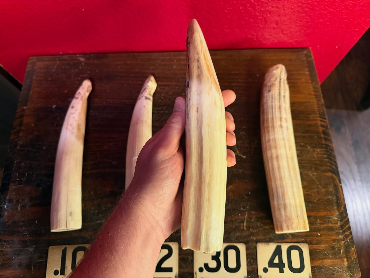 488435246_18493132138035399_7758246675373640076_n