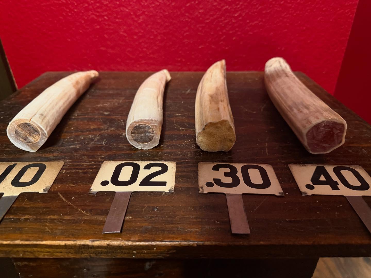 488613106_18493132168035399_1865678772763841552_n