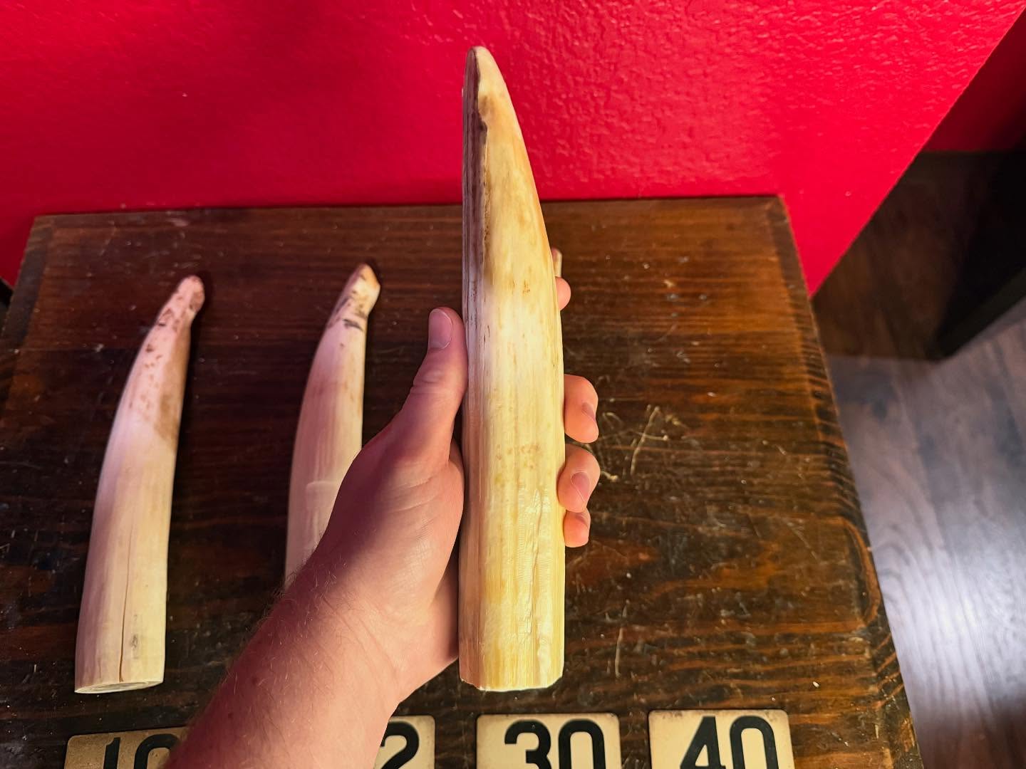 488646783_18493132147035399_7023981956090811016_n