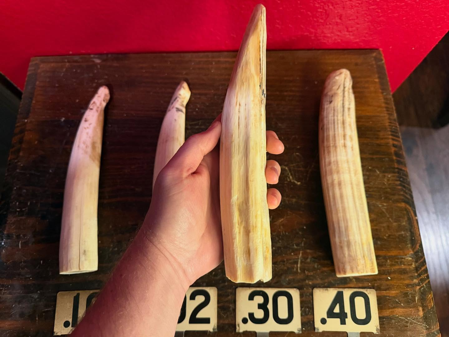 488872996_18493132126035399_4344549830550732726_n