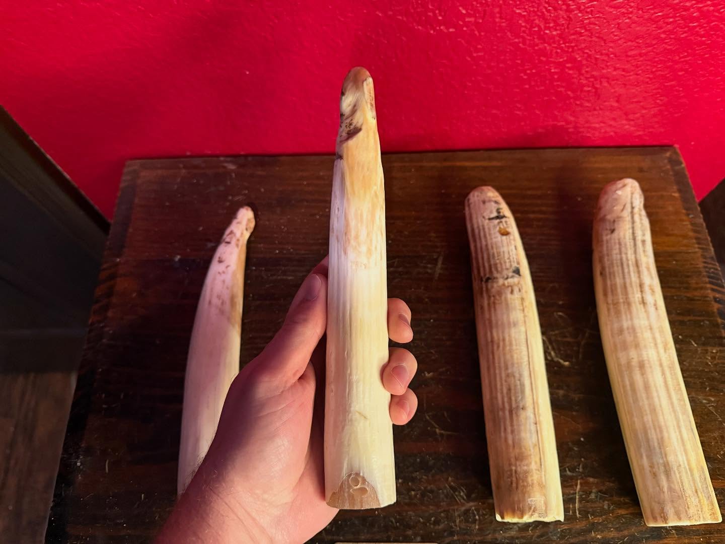 489219138_18493132096035399_5181438429579808356_n