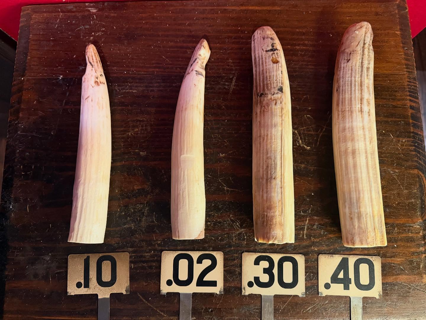 489327214_18493132066035399_4123415562727130293_n