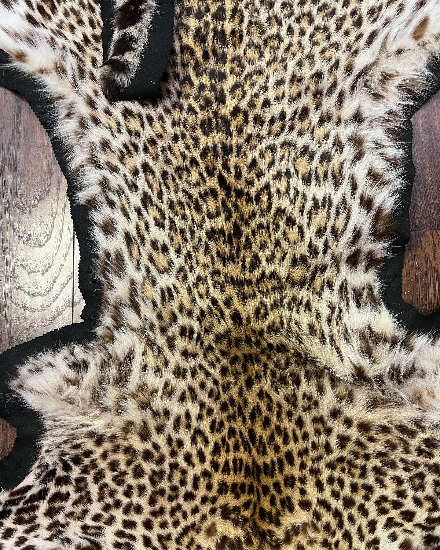 471486484_18474177946035399_1416703172119213326_n taxidermy leopard rug for sale