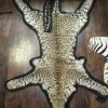 Taxidermy Leopard Rug