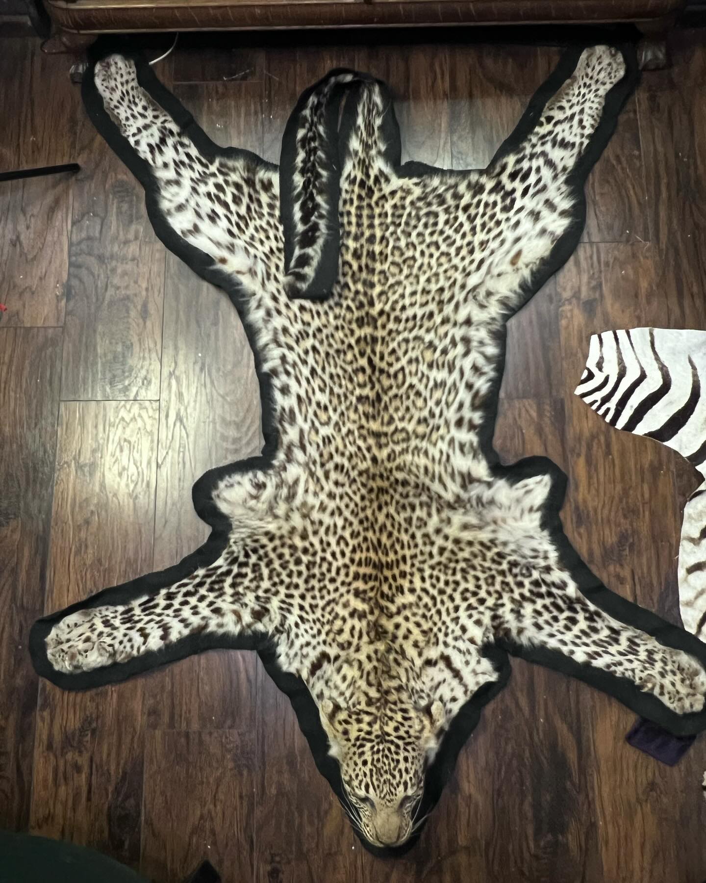 471503980_18474178021035399_4873243713325291079_n Taxidermy Leopard Rug