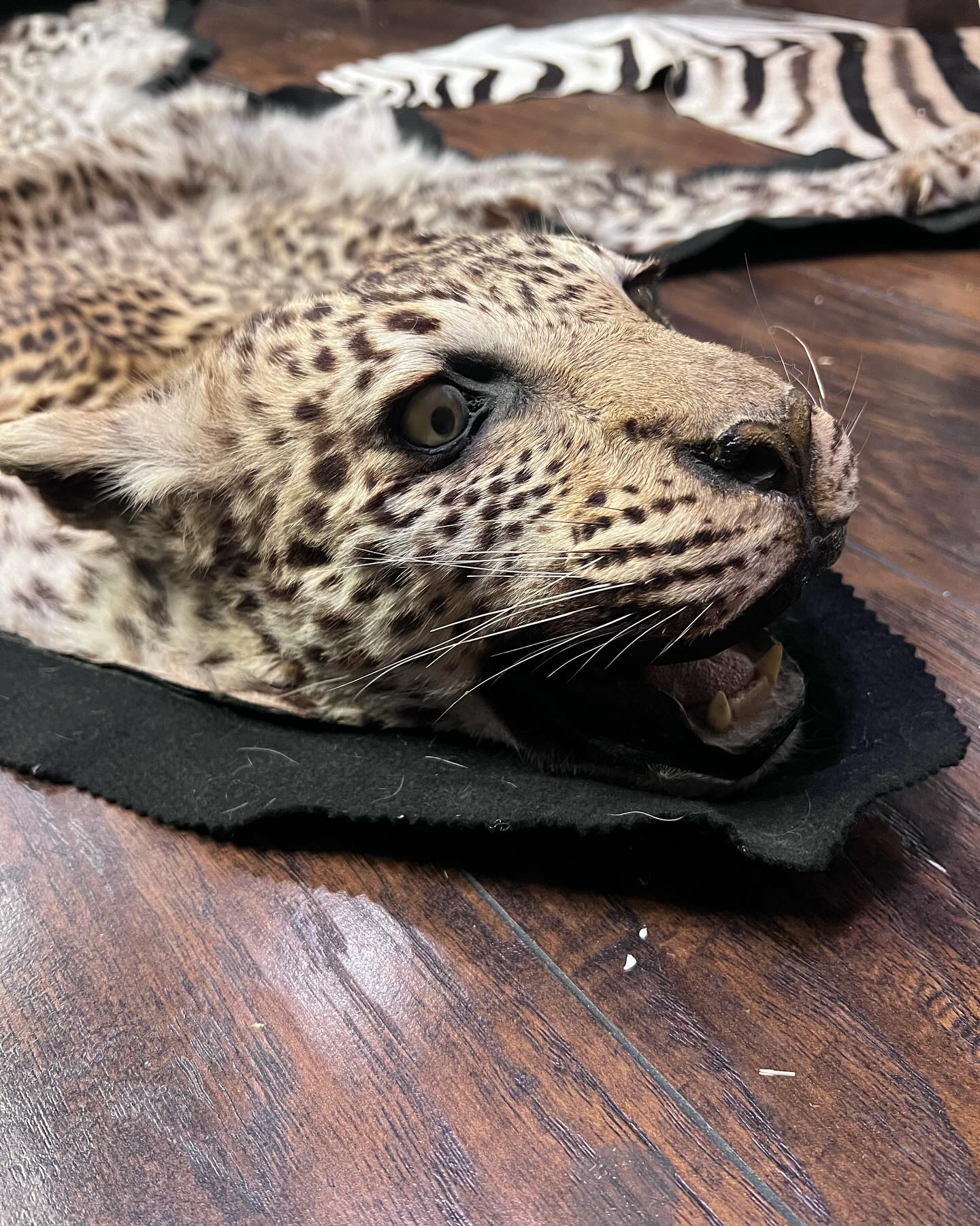 471798492_18474177949035399_8814869048265217335_n