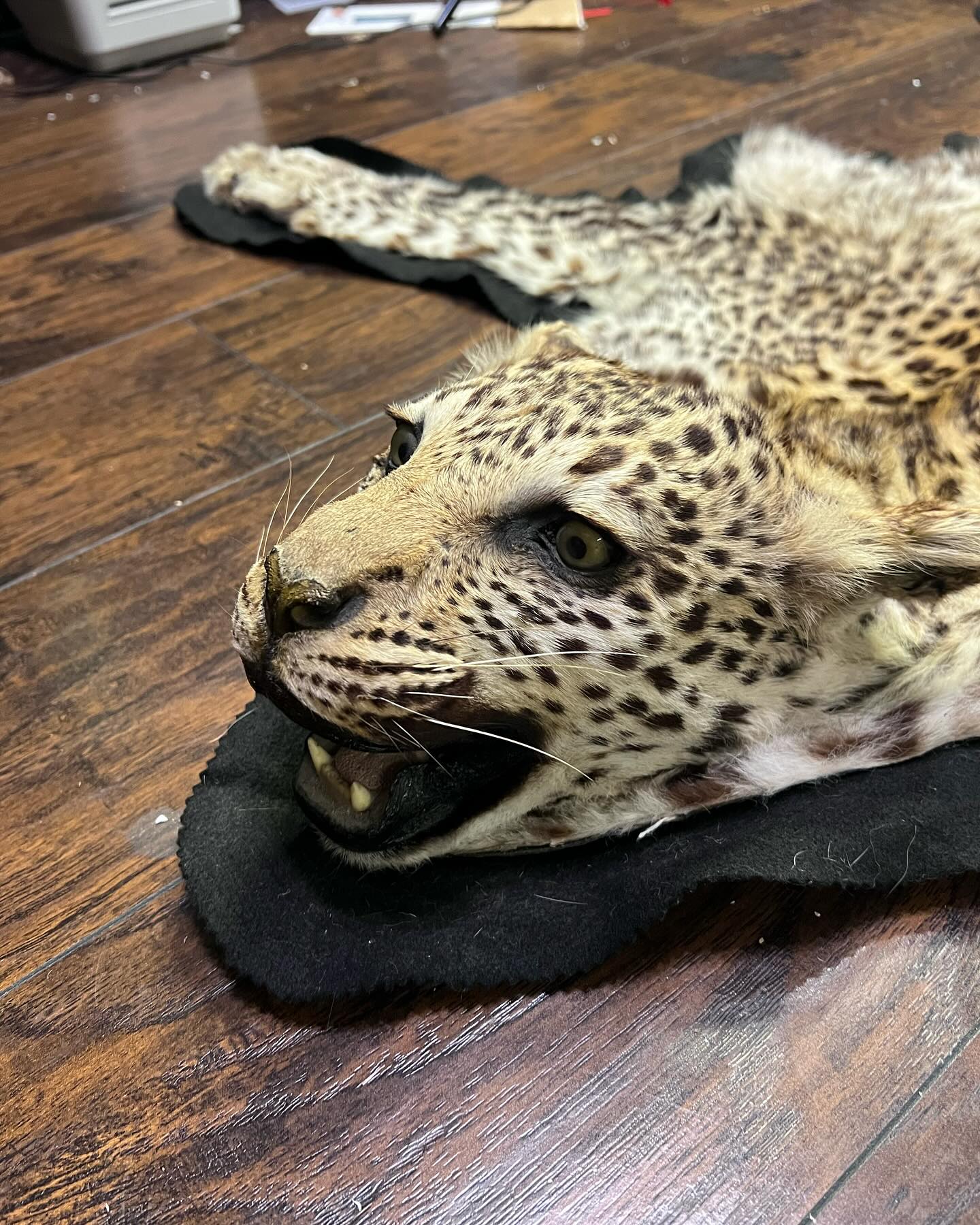 471913402_18474178018035399_6769140886112118980_n