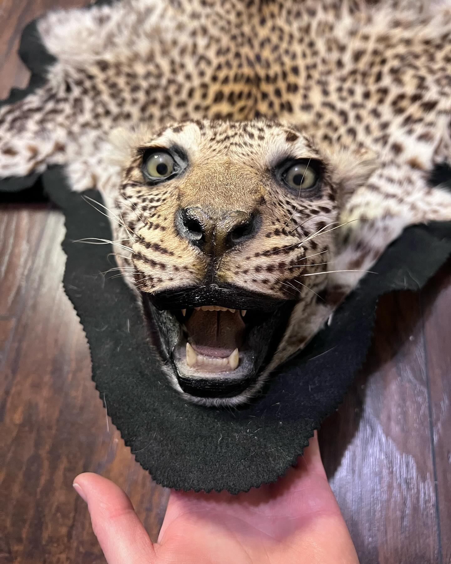 471966058_18474178012035399_4386680343337278908_n