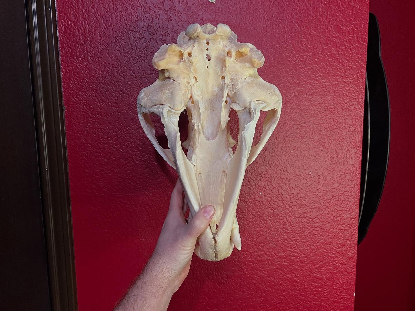 472132339_18476204137035399_6393288081623232298_n