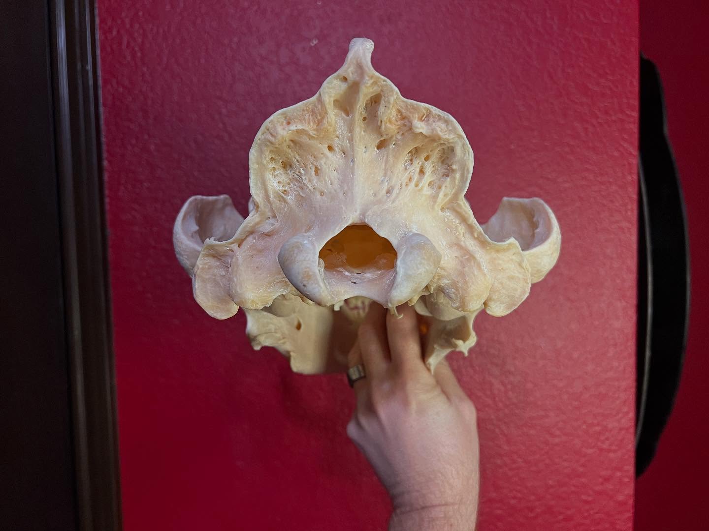 472156041_18476204119035399_2181752742519159962_n