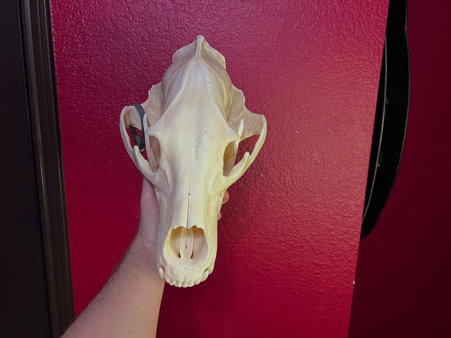 472553705_18477078217035399_8137852436939172389_n