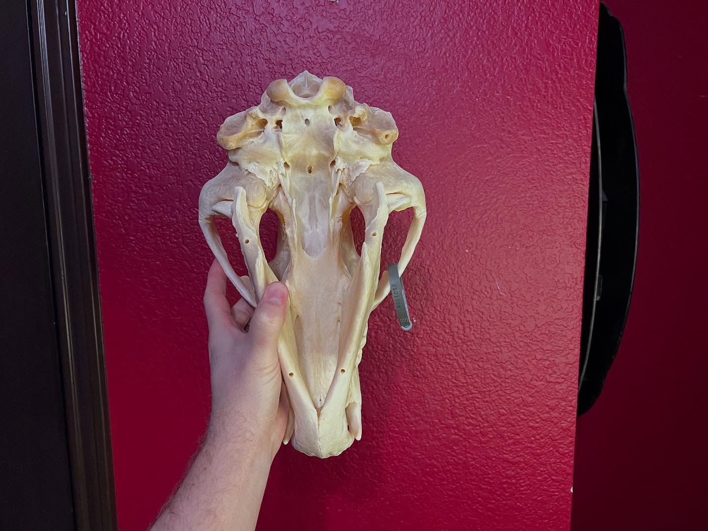 472598773_18477078226035399_1776906630531942382_n