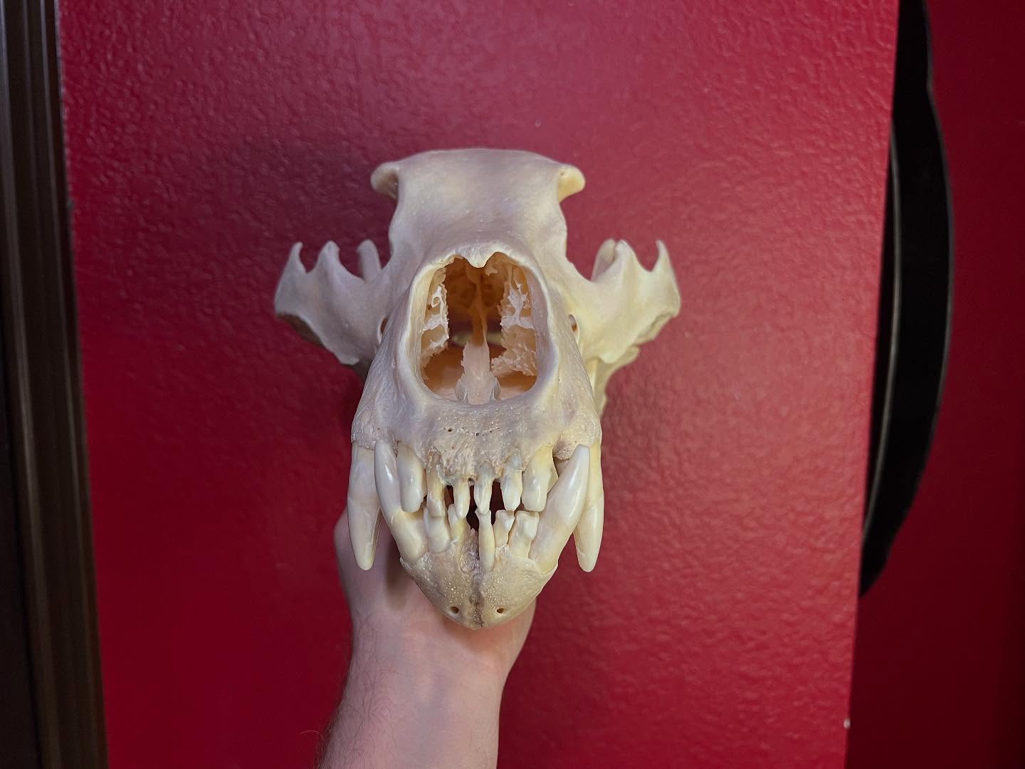 472758615_18476204095035399_8846324348396822448_n