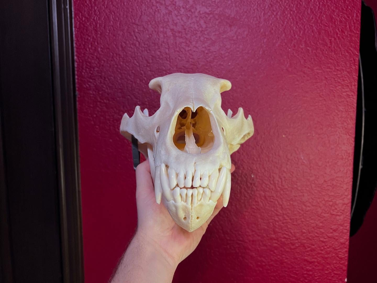 472987547_18477078169035399_7423752110566126673_n