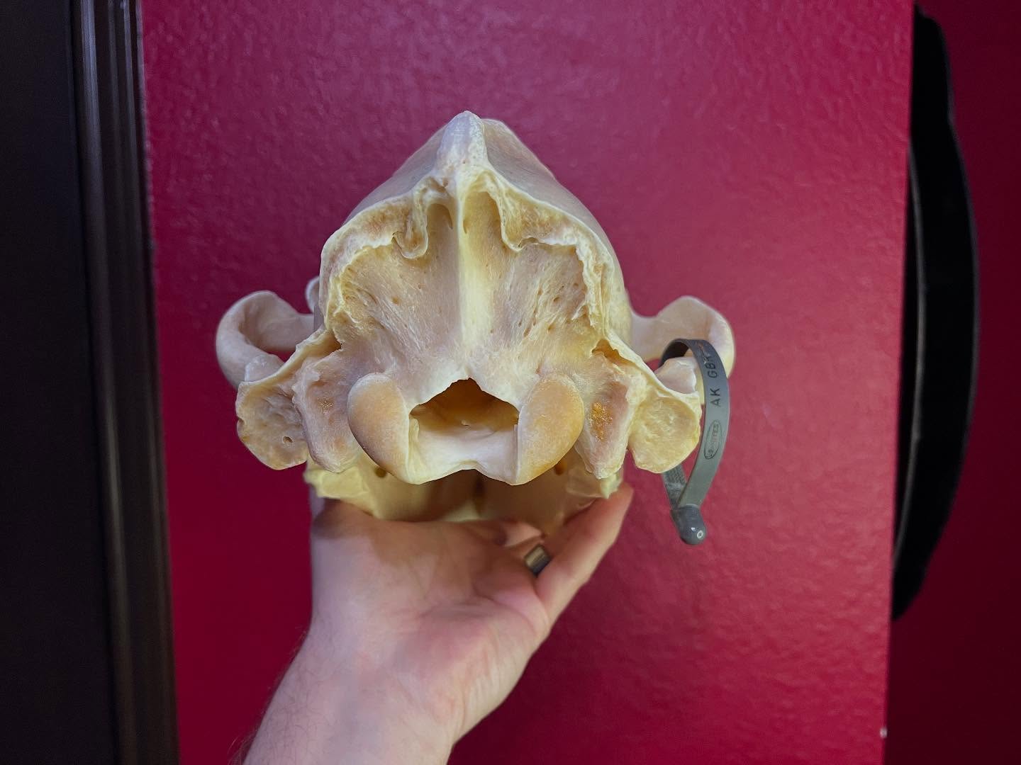 473055894_18477078193035399_1563255369172146334_n