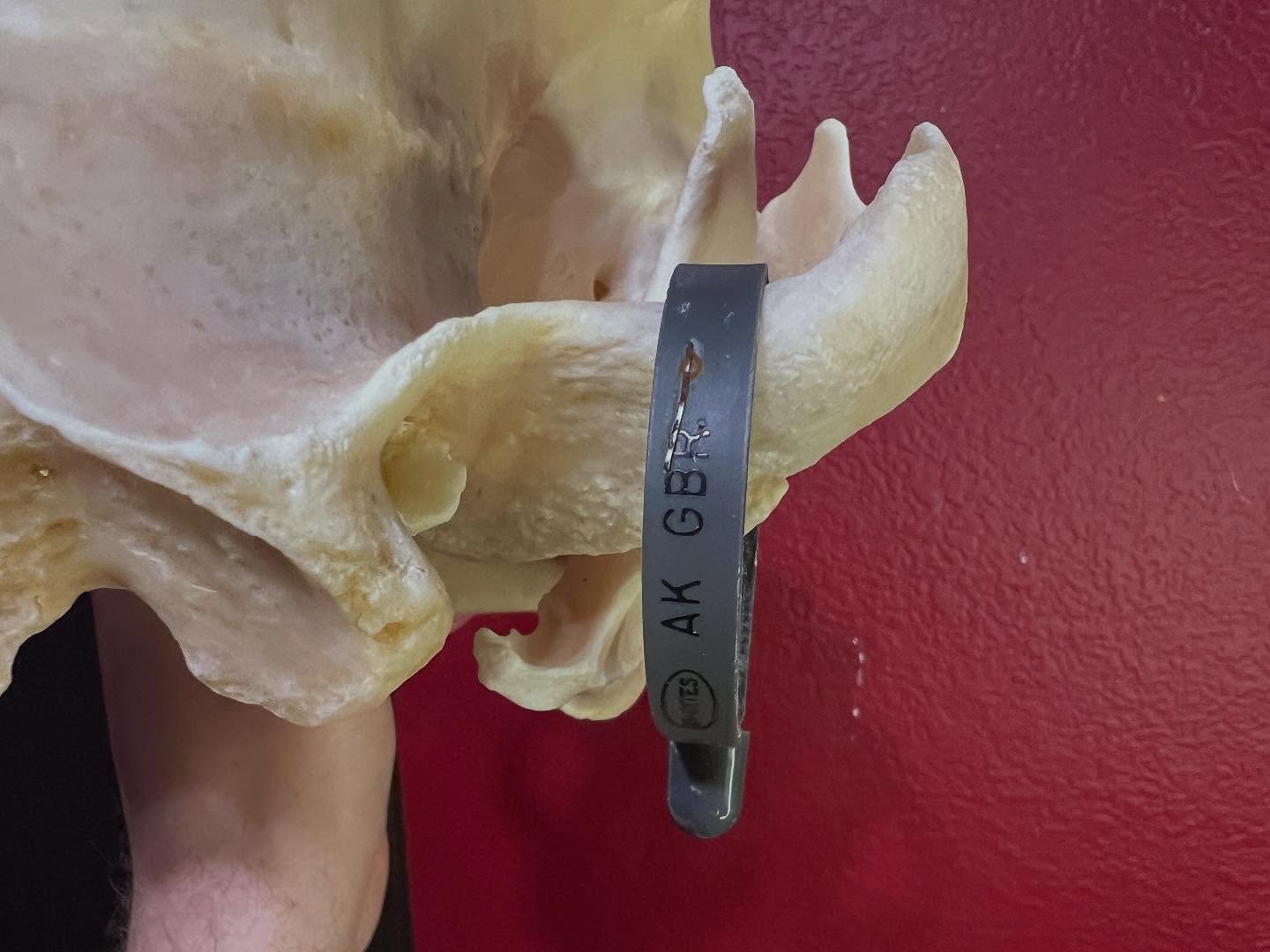 473129442_18477078208035399_966969049760763466_n