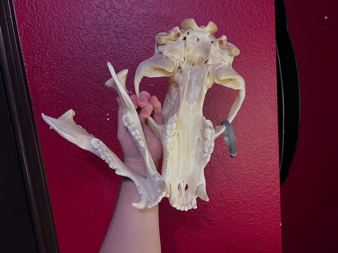 473131592_18477078238035399_7188800141662993305_n