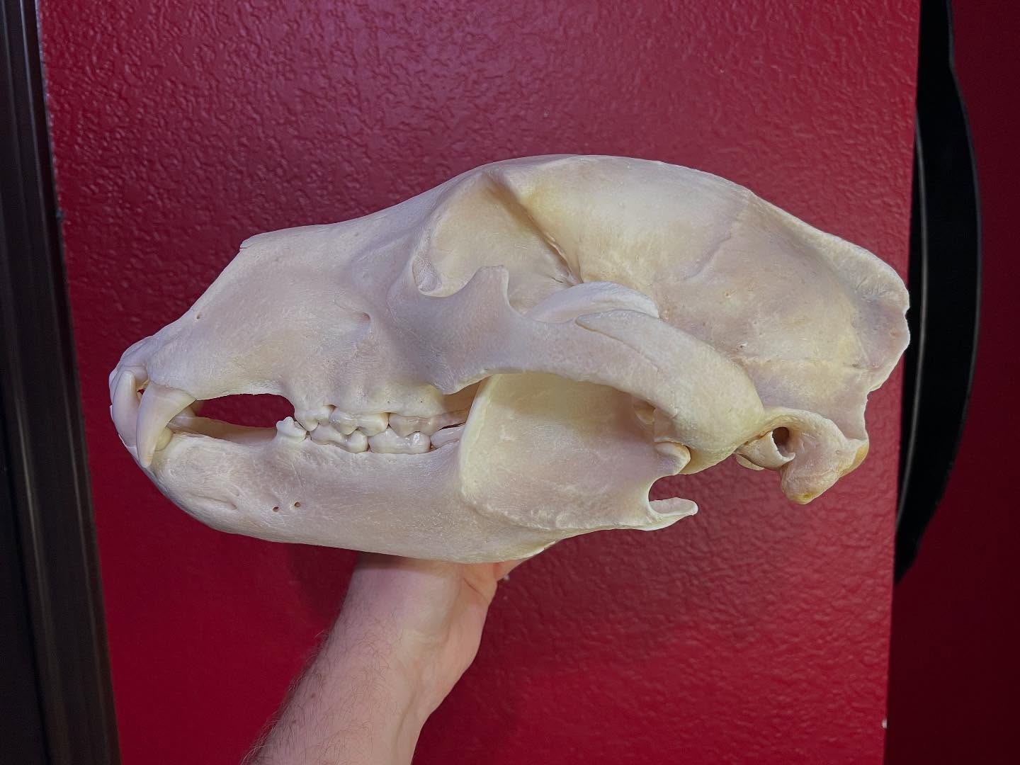 473161308_18477078178035399_4202900795509527143_n