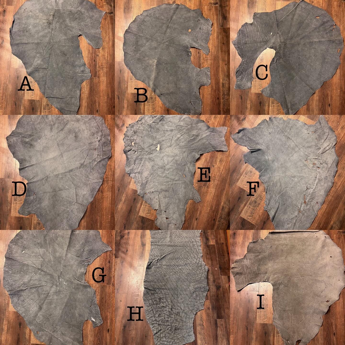 476770300_18481964113035399_8638571440703465434_n Elephant Leather