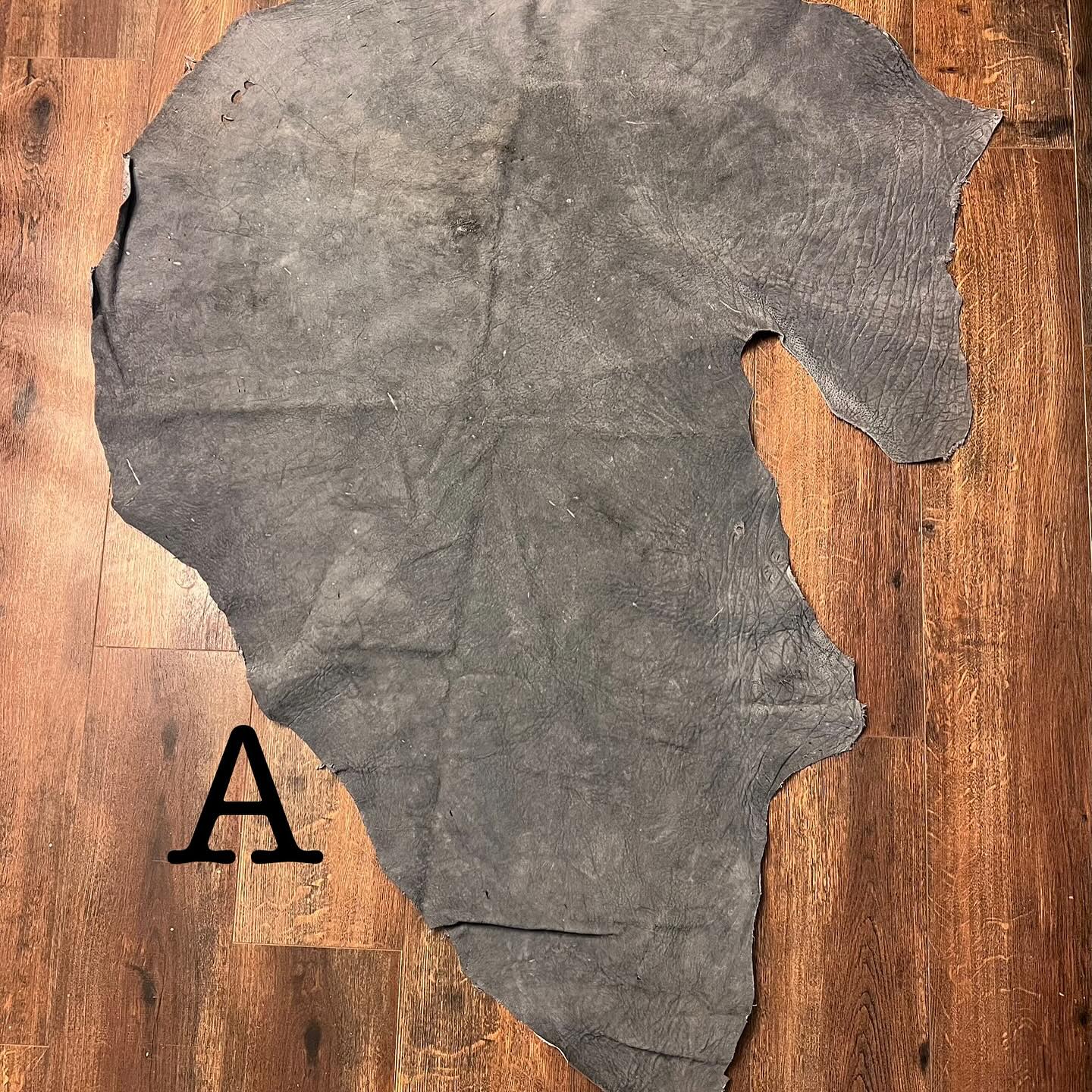 477636948_18481964161035399_2943277098795028917_n elephant skin for sale