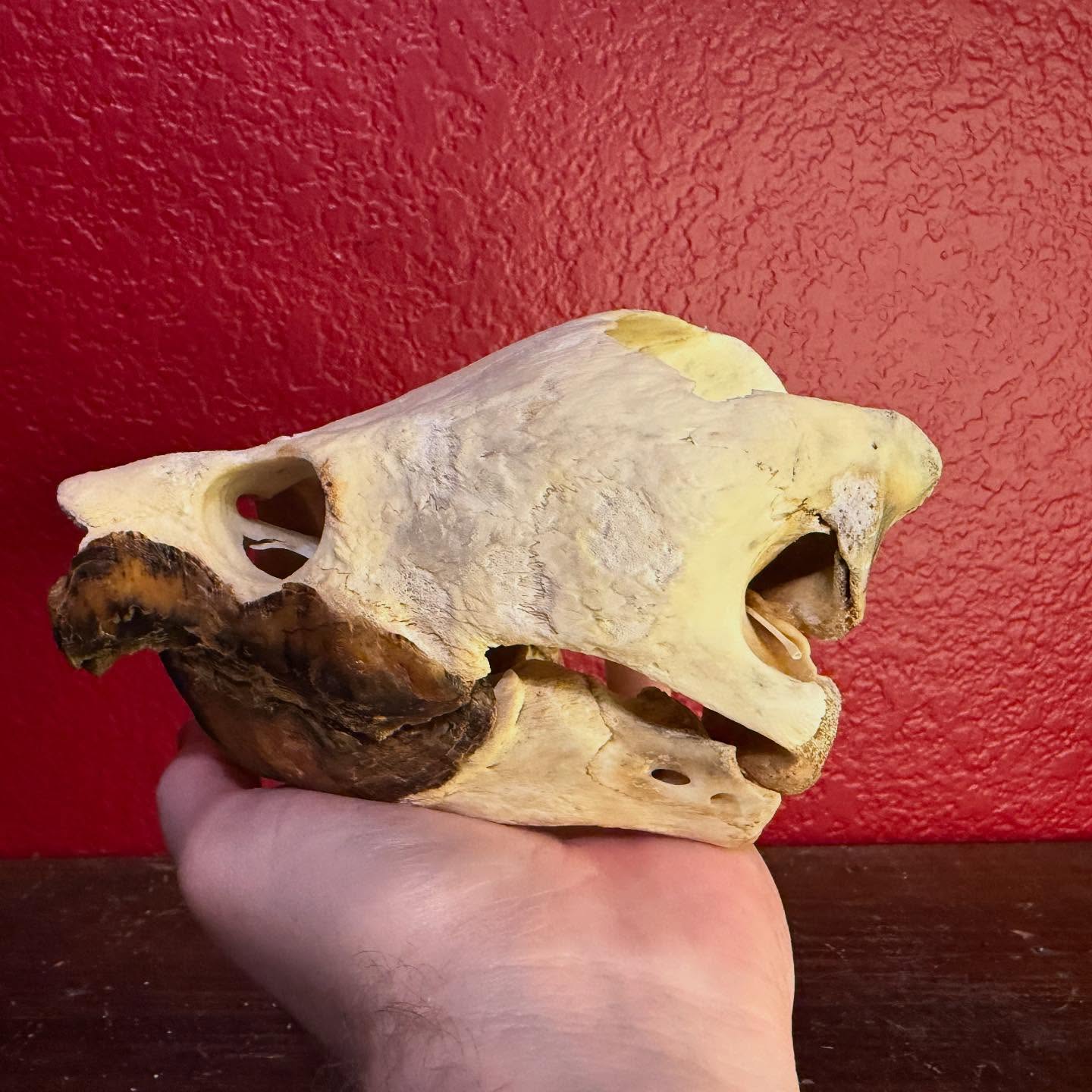 504477678_18506329039035399_5033030901579981744_n