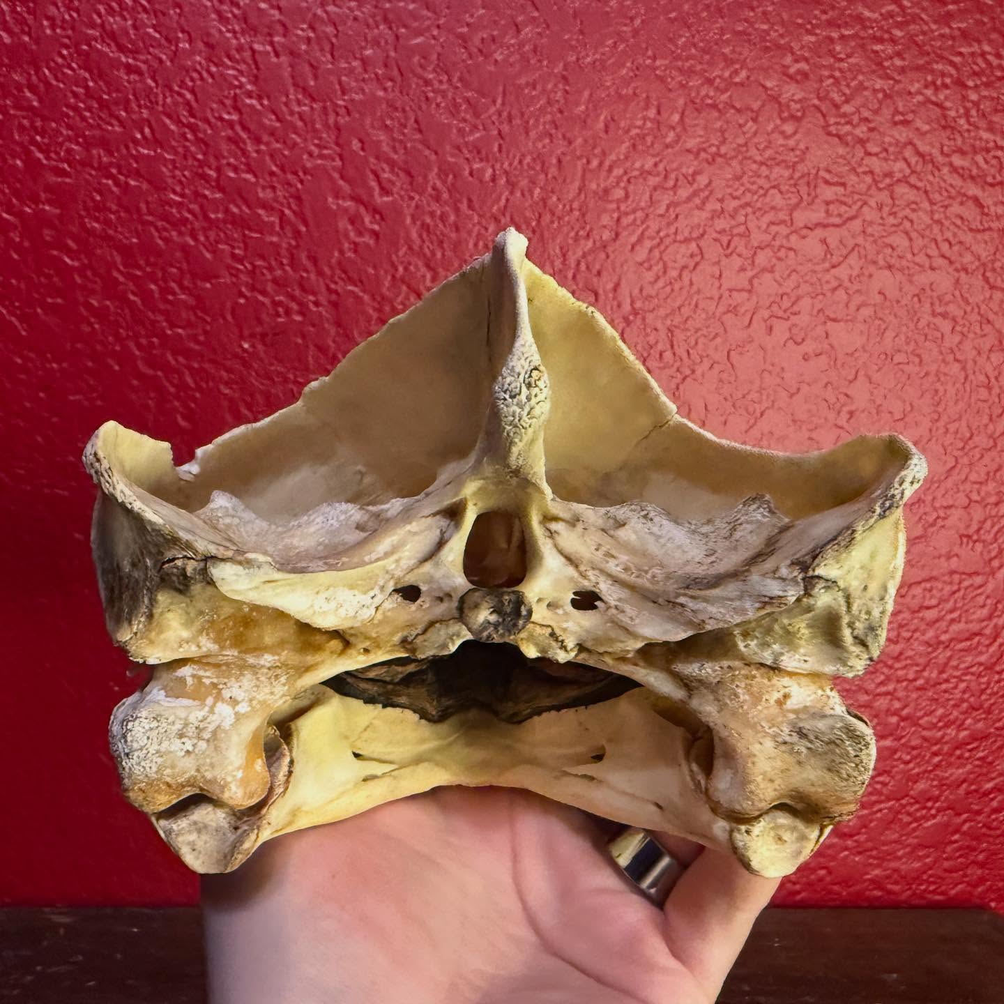 504480292_18506329048035399_8996188793272108409_n