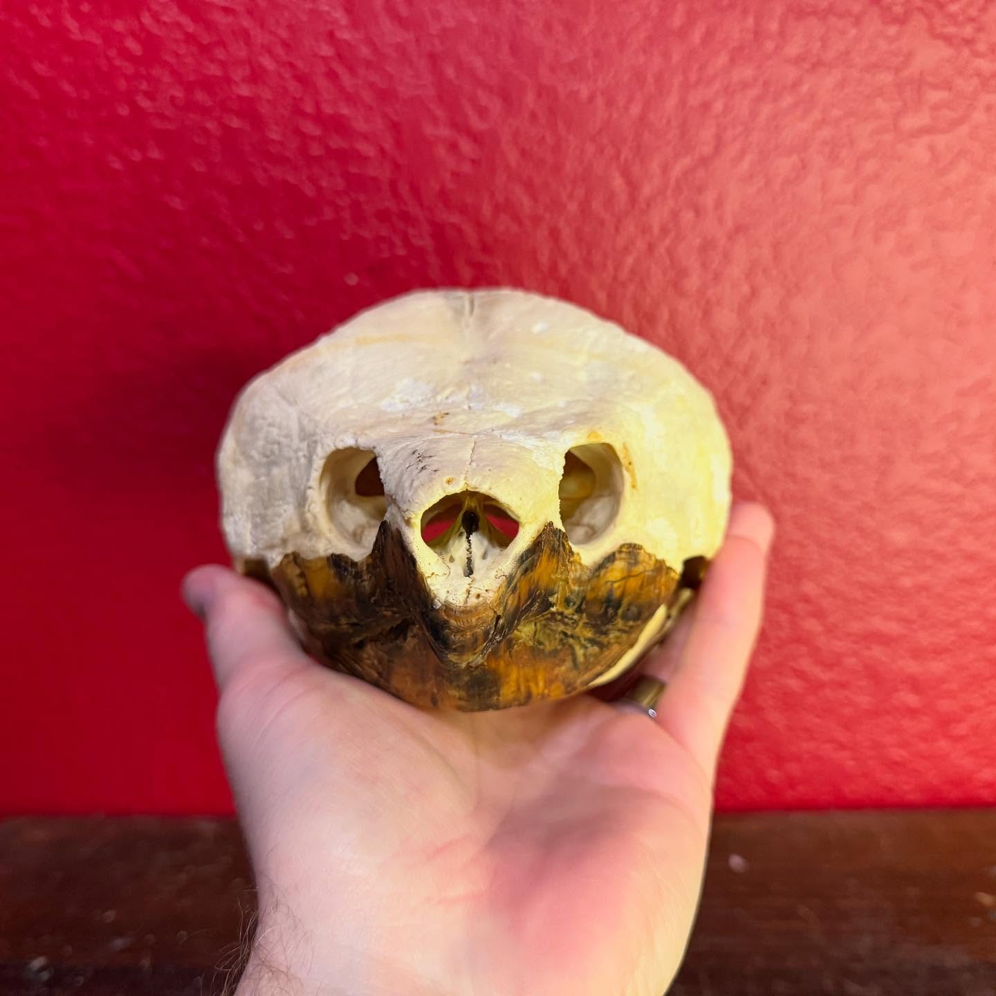 505468943_18506329027035399_5009059218770085136_n