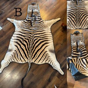 Authentic Zebra Rugs