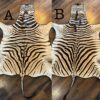 Authentic Zebra Rugs