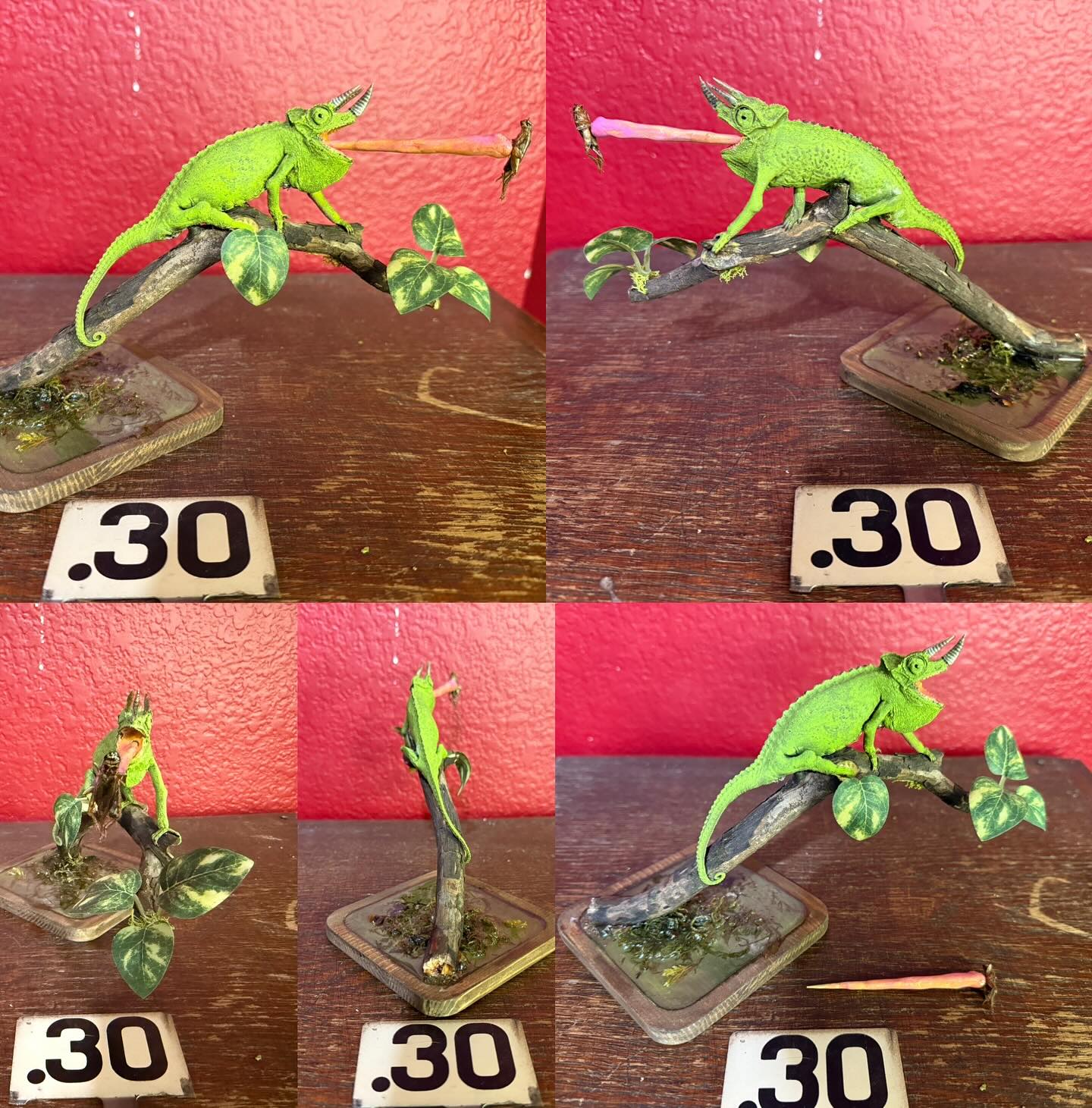 544828057_18522470047035399_5123629799779157243_n