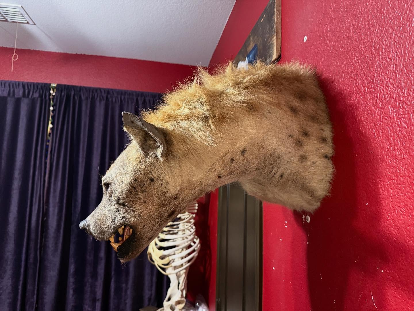 565235534_18532109674035399_2621137962738502993_n